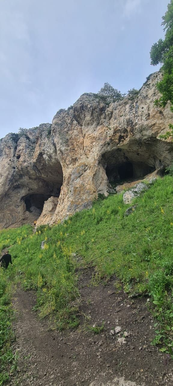 Зубринная поляна